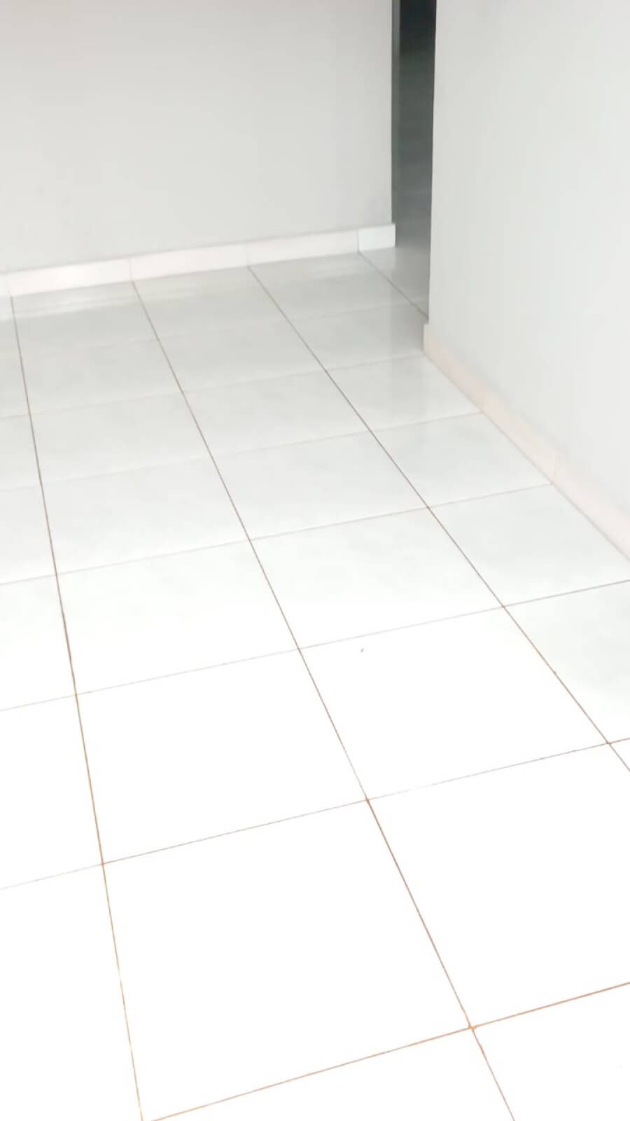 Limpeza e revitalização de pisos cerâmicos